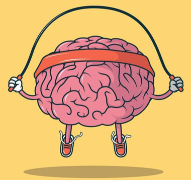 training brain