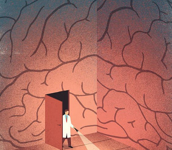explore the mind 