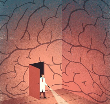 explore the mind 
