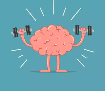 neuroplasticity 