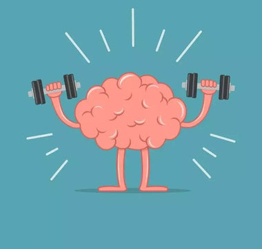 neuroplasticity 
