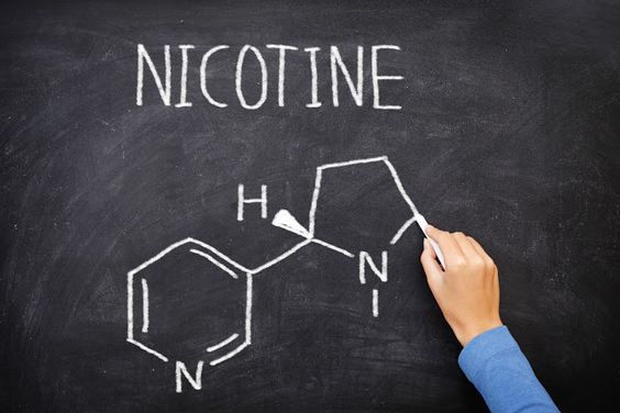 ما هي مادة النيكوتين ؟